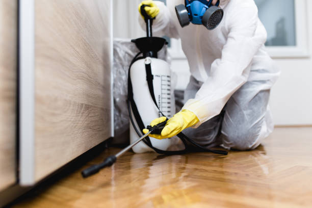 Best Residential Pest Control  in De Kal, TX