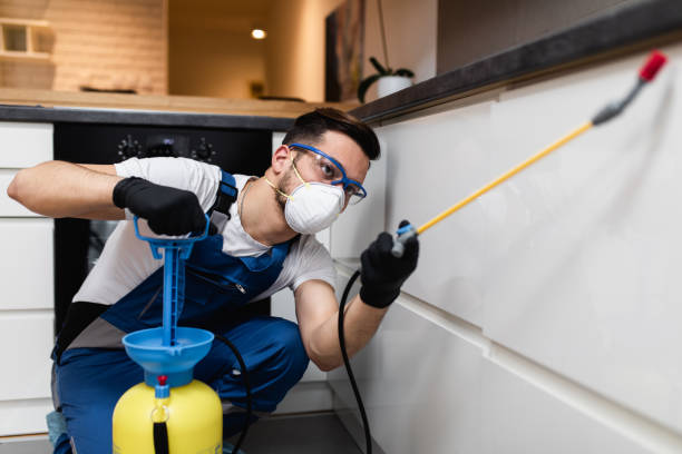 Pest Prevention Services in De Kal, TX