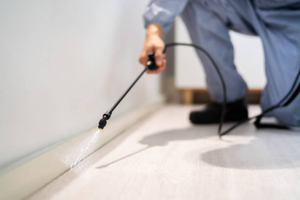 Best Best Pest Control Companies  in De Kal, TX