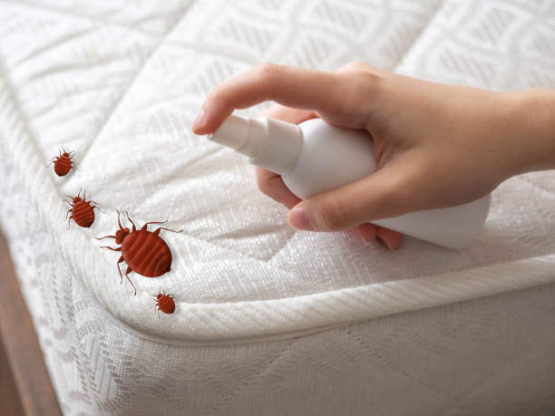 Best Pest Prevention Services  in De Kal, TX