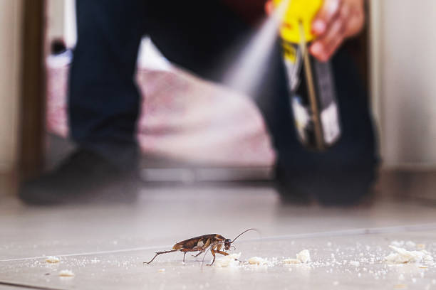 Best Pest Control for Businesses  in De Kal, TX